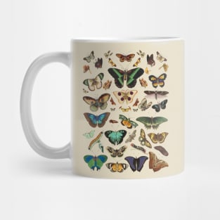 Moth cottagecore, fairycore and goblincore insect moon child Mug